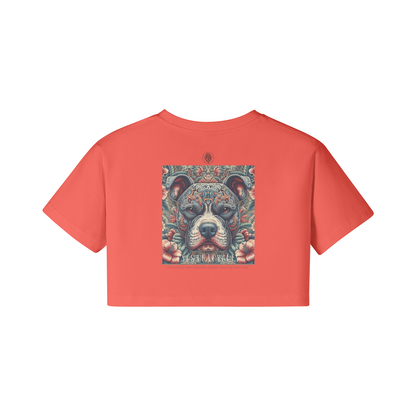 Meduza Eyes of Loyalty Crop Top 200